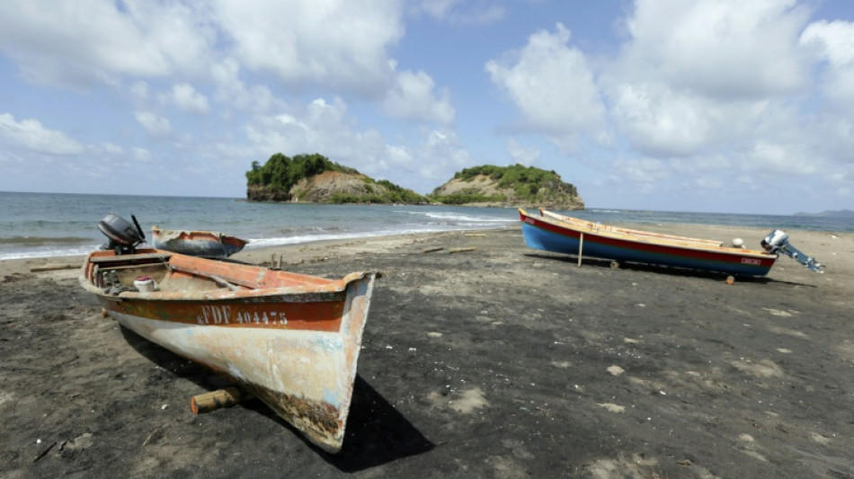 Aux Antilles, la pêche mise à mal par la pollution au chlordécone