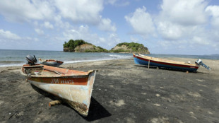 Aux Antilles, la pêche mise à mal par la pollution au chlordécone
