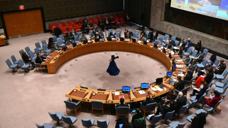 UN Security Council to meet Monday on humanitarian crisis in Ukraine: diplomats&nbsp;