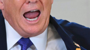 One year on, it's all about Trump. But for how long?