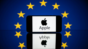 Apple pierde su recurso contra la regulaci&oacute;n digital europea
