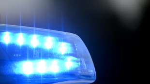 17-J&auml;hriger baut Unfall mit Auto von Gro&szlig;vater: Flucht endet in Hecke