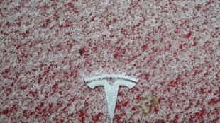 Los beneficios de Tesla cayeron un 61% en el cuarto trimestre de 2025