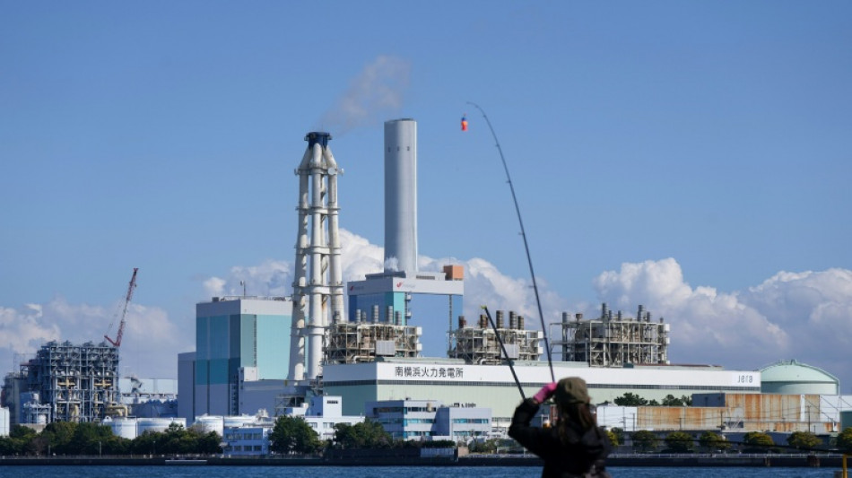 Indien k&uuml;rzt Steuern auf Diesel und Benzin - Vietnam setzt Umweltsteuer aus