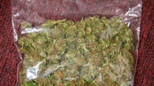 Halbe Tonne Cannabis per Onlineversand: Ermittler zerschlagen Drogenhändlerring