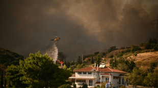 Greek firefighters beat back wildfires