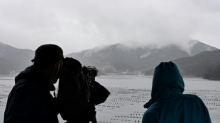 Japon: la pluie offre un répit face au pire incendie de forêt depuis 50 ans
