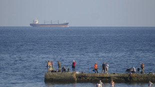 Mosca, 'affondata una nave ucraina alla foce del Danubio'