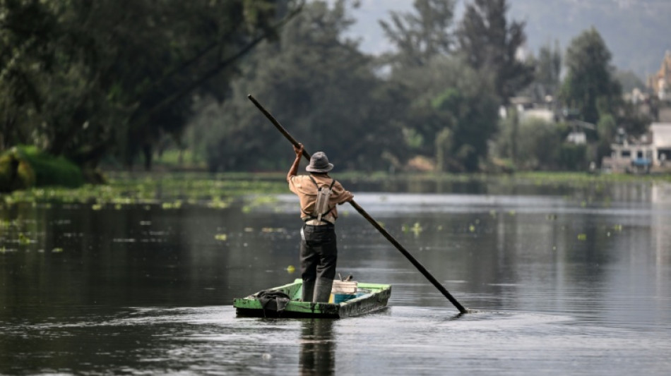 Mexico City tourist area appears to come into cartel's crosshairs
