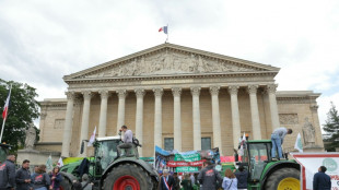 La FNSEA gare ses tracteurs à l'Assemblée nationale pour demander "des solutions" pour produire