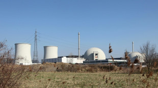 Dritter Turm an stillgelegtem Atomkraftwerk Biblis kontrolliert eingest&uuml;rzt