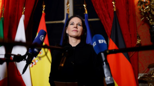Baerbock fordert mit Blick auf Ukraine-Verhandlungen "dauerhafte" Lösung