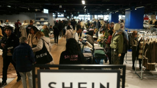 Sexpuppen-Skandal: Frankreich will Onlineh&auml;ndler Shein vorl&auml;ufig sperren 