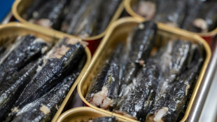 La sardine en boîte mise à mal par le changement climatique