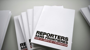 Fundada h&aacute; 40 anos, Rep&oacute;rteres sem Fronteiras passa da defesa &agrave; a&ccedil;&atilde;o