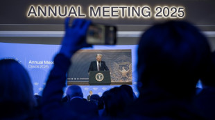 Organisatoren: Trump nimmt an Weltwirtschaftsforum in Davos teil 