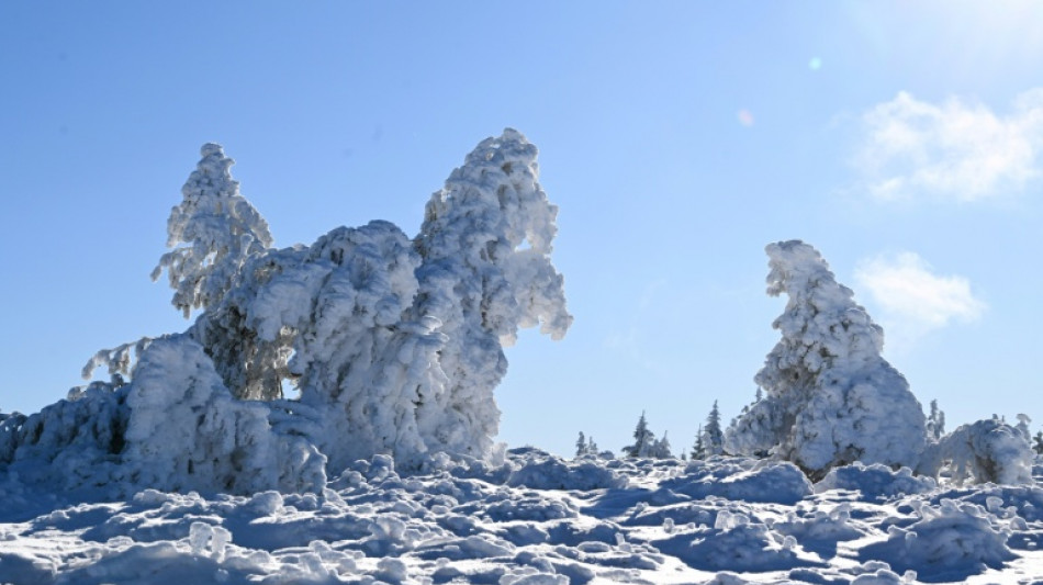 Landwirte k&ouml;nnen mit K&auml;lteeinbruch und Schneesturm gut leben