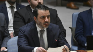 Damas demande au Conseil de sécurité de l'ONU de "faire pression" sur Israël