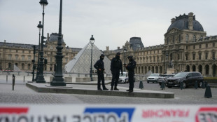 Two Louvre heist suspects a couple with children: prosecutor