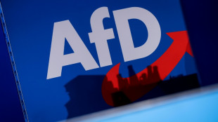 Niedersachsen: AfD scheitert mit Beschwerde gegen Hochstufung  durch Verfassungsschutz