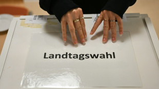 Linke in Baden-Württemberg wählt Kommunalpolitikerin Bohnen auf Spitzenplatz