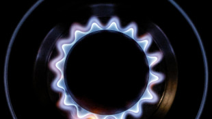 Stoccaggi gas Europa sopra al 70%, Italia +12 punti