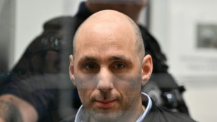 Au procès Jubillar, les parties civiles dressent un réquisitoire avant l'heure