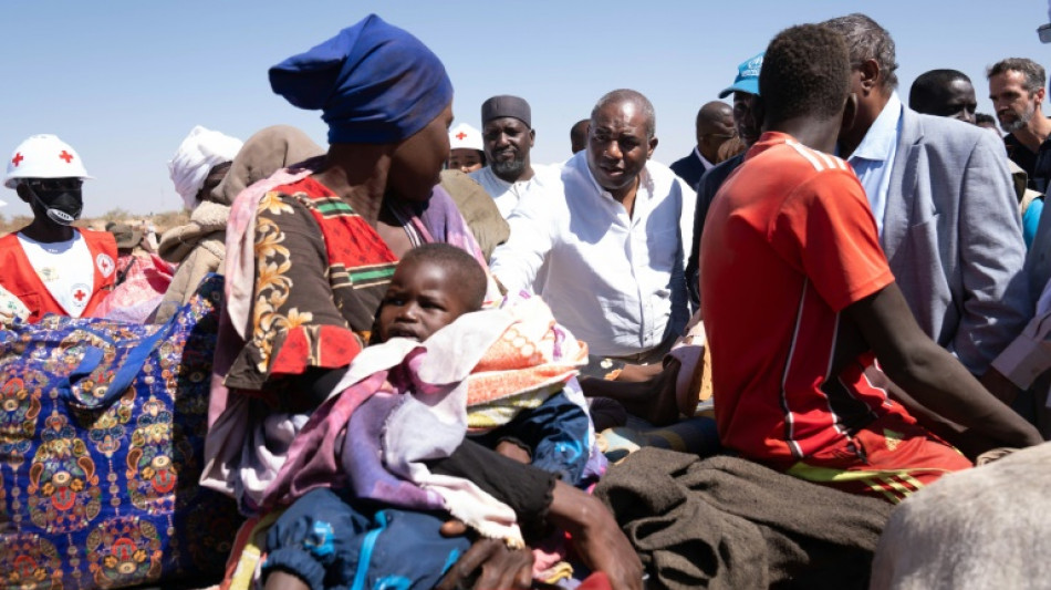 30 killed in drone attack on hospital in Sudan's Darfur: medical source