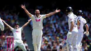 Root and Brook dig in as England reach 114-3 in 5th Ashes Test  