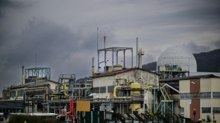 L'usine chimique Vencorex sera fixée sur sa reprise le 10 avril