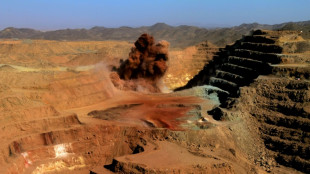 Scramble for Sudan's resources fuels brutal civil war