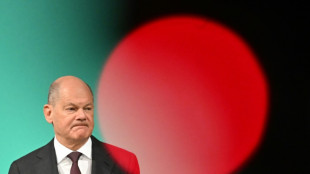 US may miss out on green tech boom: Germany