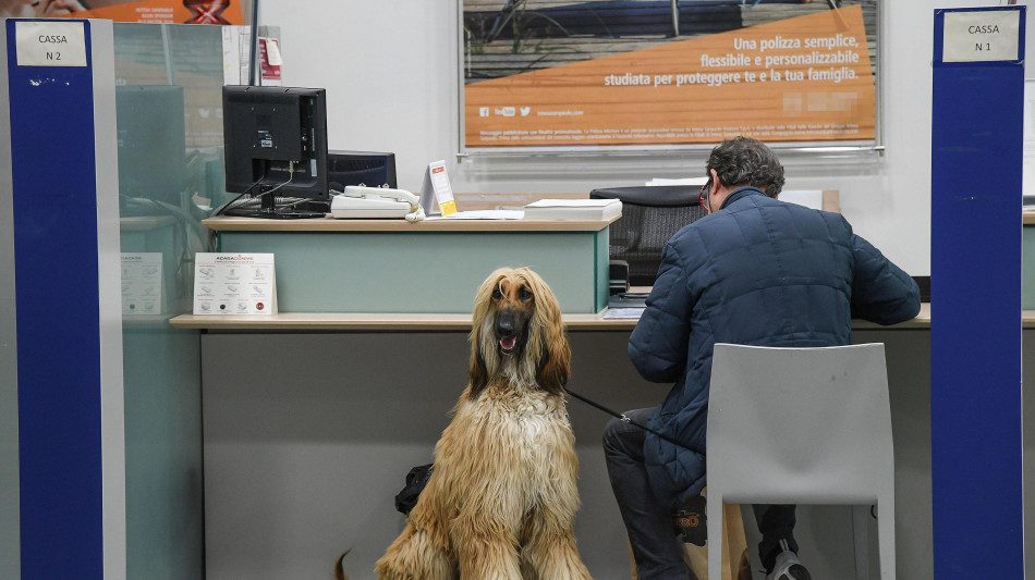 'Italiani hanno oltre 37mila euro pro-capite di risparmi'