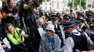 Oltre 530 arresti a protesta Palestine Action in Gb, è polemica