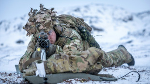 Minister: Kopenhagen und Nuuk schlagen Nato-Mission f&uuml;r Gr&ouml;nland vor