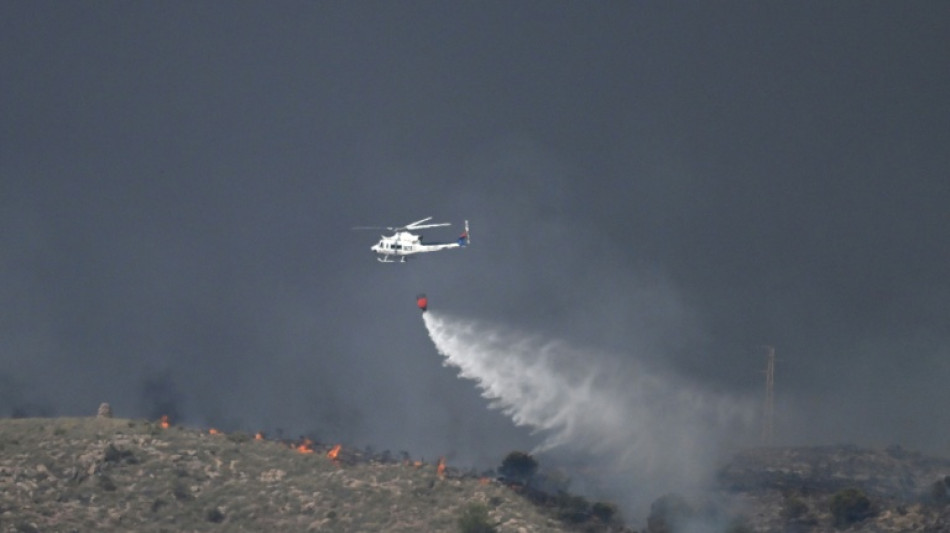 Eleven dead, 19 missing as Spain wildfire roars through southern Spain