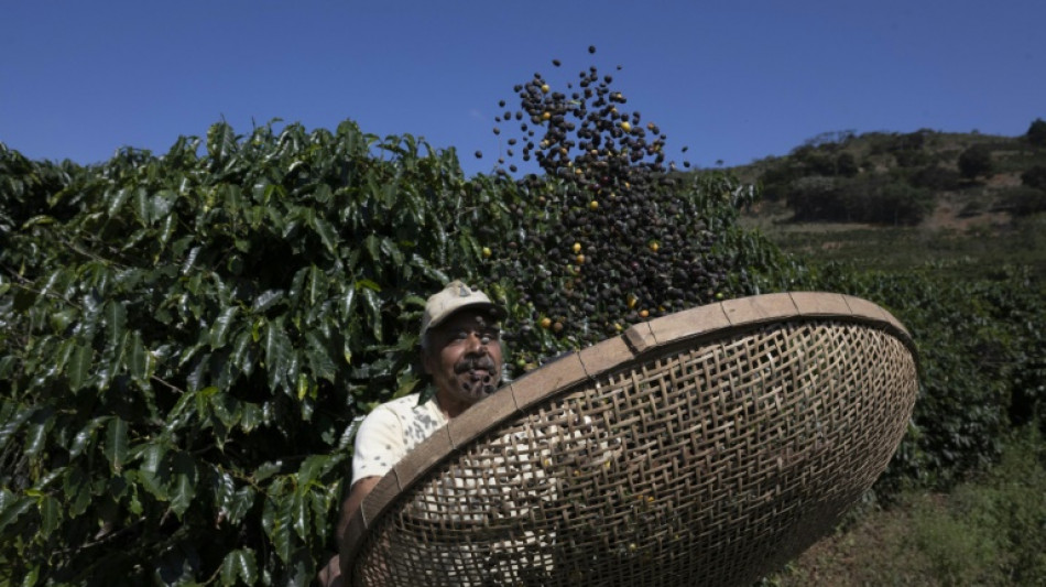 EUA elimina tarifas elevadas sobre diversos produtos agr&iacute;colas do Brasil