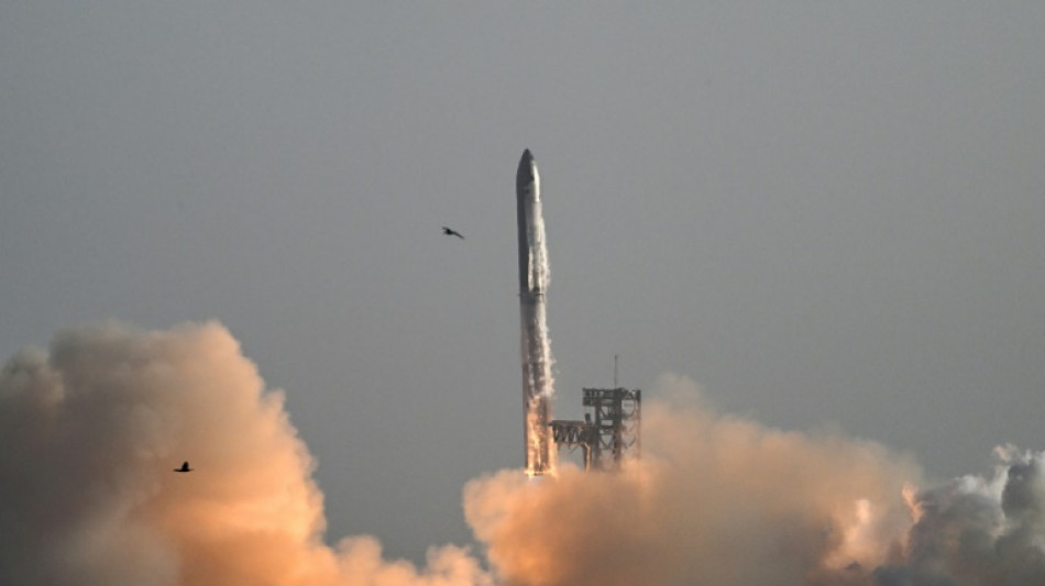 Le projet d'Elon Musk de créer une ville en passe de devenir réalité au Texas