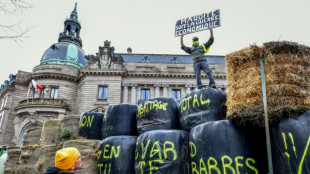 Dermatose: &agrave; Limoges, des agriculteurs &eacute;rigent un mur de paille devant la pr&eacute;fecture