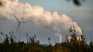 Petersberger Klimadialog ber&auml;t &uuml;ber Energiewende und Klimafinanzierung