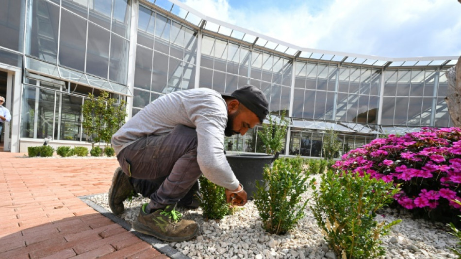Papst eröffnet von Vorgänger Franziskus gewollten landwirtschaftlichen Musterbetrieb
