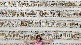 One stitch at a time: Artist's mission to recreate the Bayeux Tapestry