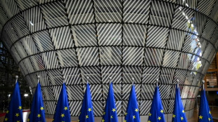 Eyeing Trump and Putin, EU, UK, NATO leaders talk defence