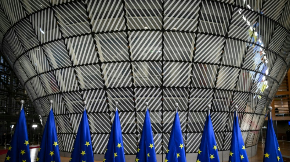 Offener Brief: Gr&uuml;ne kritisieren Einladung von Taliban-Vertretern nach Br&uuml;ssel scharf