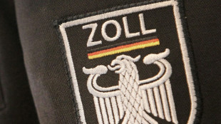 Verdacht illegaler Einfuhren aus Russland: Zoll durchsucht drei Firmen in Hamburg