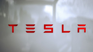 Rémunération controversée d'Elon Musk: Tesla accorde 29 milliards de dollars d'actions à son patron