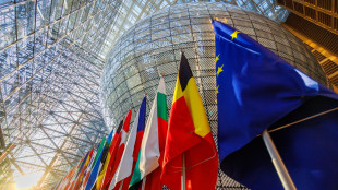 Fonti, 'uso di crediti carbonio non ridurrà ambizione climatica'