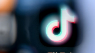 La commission TikTok préconise à son tour d'interdire les réseaux sociaux aux moins de 15 ans