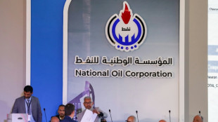 Libia otorga sus primeras concesiones petroleras en 17 a&ntilde;os y Repsol est&aacute; entre los beneficiados