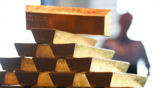 Le géant minier canadien Barrick Gold contraint de fermer ses bureaux au Mali